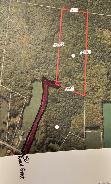 Lot 81.4 County Road 114, Cochecton, New York image 16