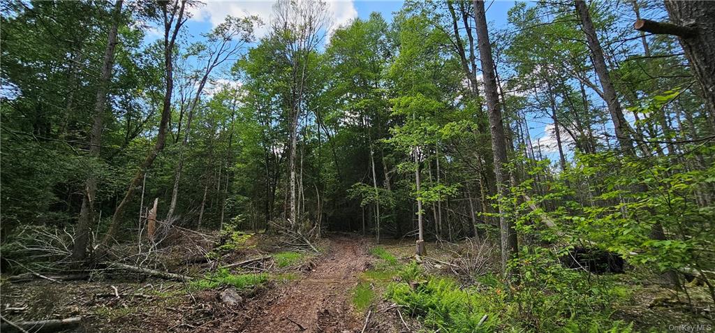 Lot 81.4 County Road 114, Cochecton, New York image 10