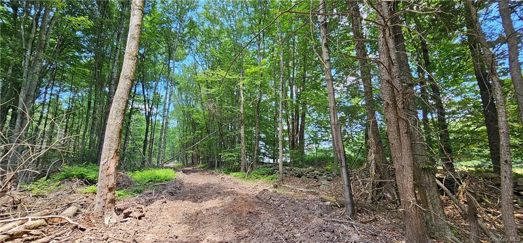 Lot 81.4 County Road 114, Cochecton, New York image 12