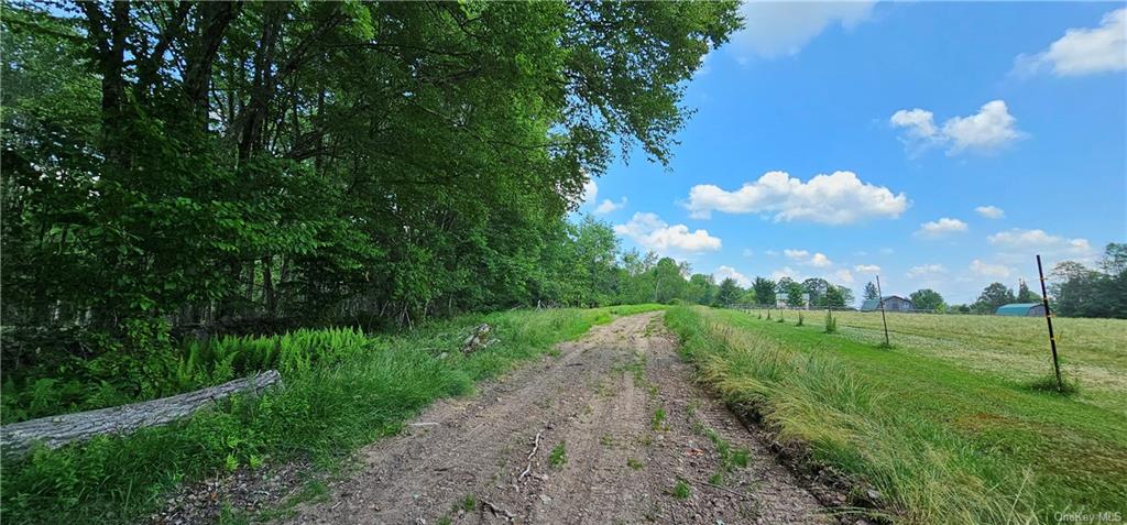 Lot 81.4 County Road 114, Cochecton, New York image 3