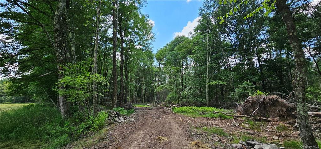 Lot 81.4 County Road 114, Cochecton, New York image 4