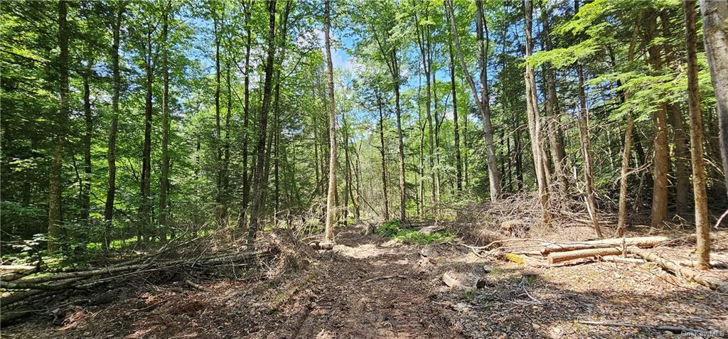 Lot 81.4 County Road 114, Cochecton, New York image 7