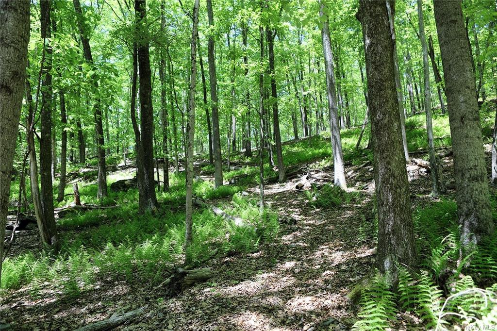 Barbara Drive, Callicoon, New York image 8