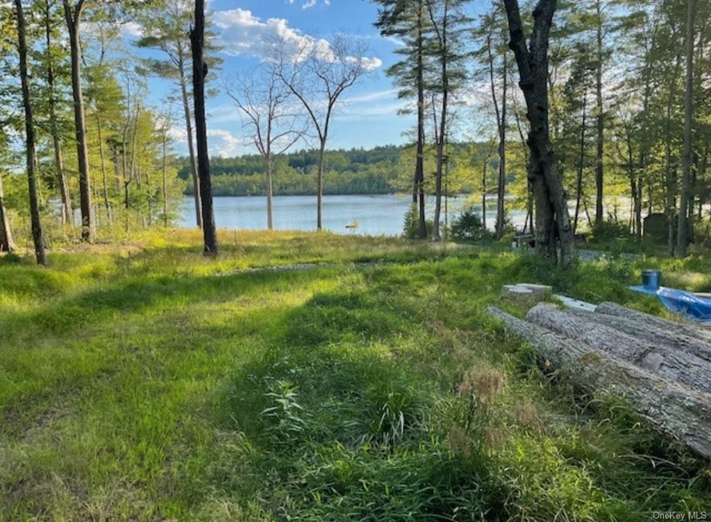 Lake View Drive, Highland Lake, New York image 1