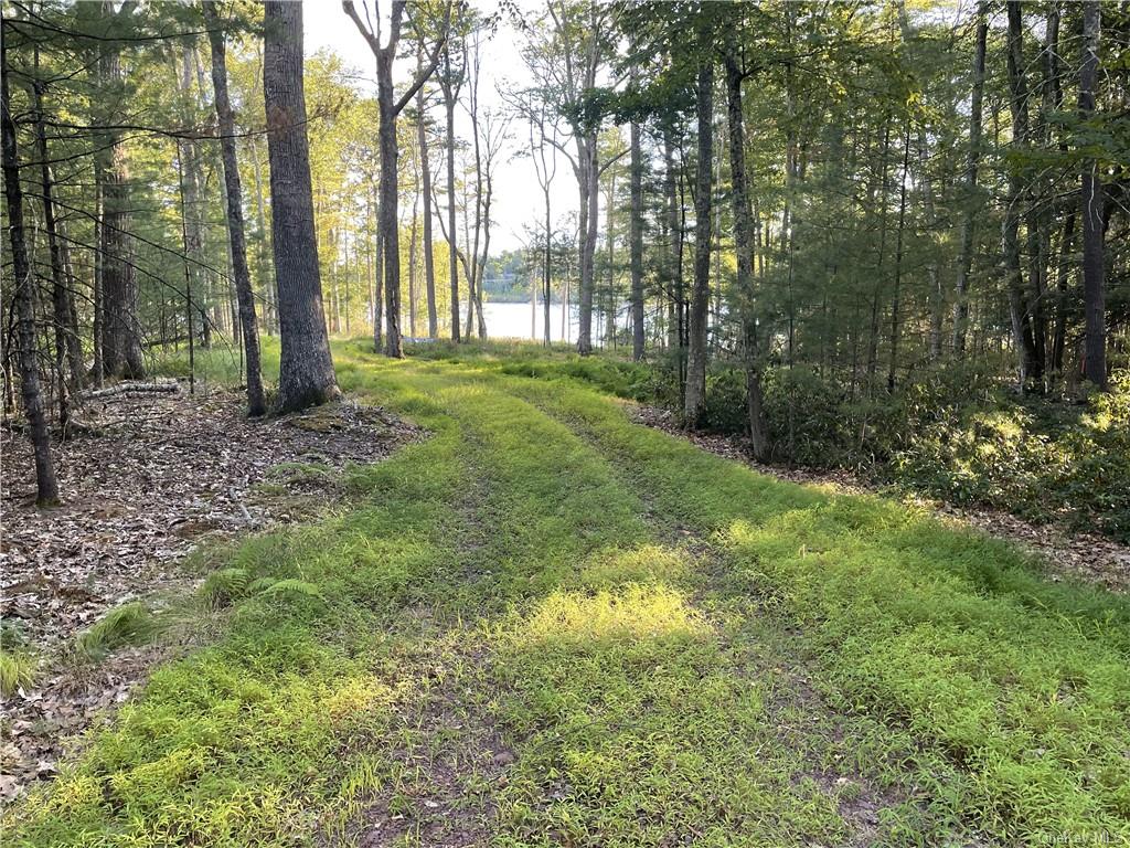 Lake View Drive, Highland Lake, New York image 3