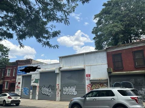 267 45th Street Brooklyn NY 11220