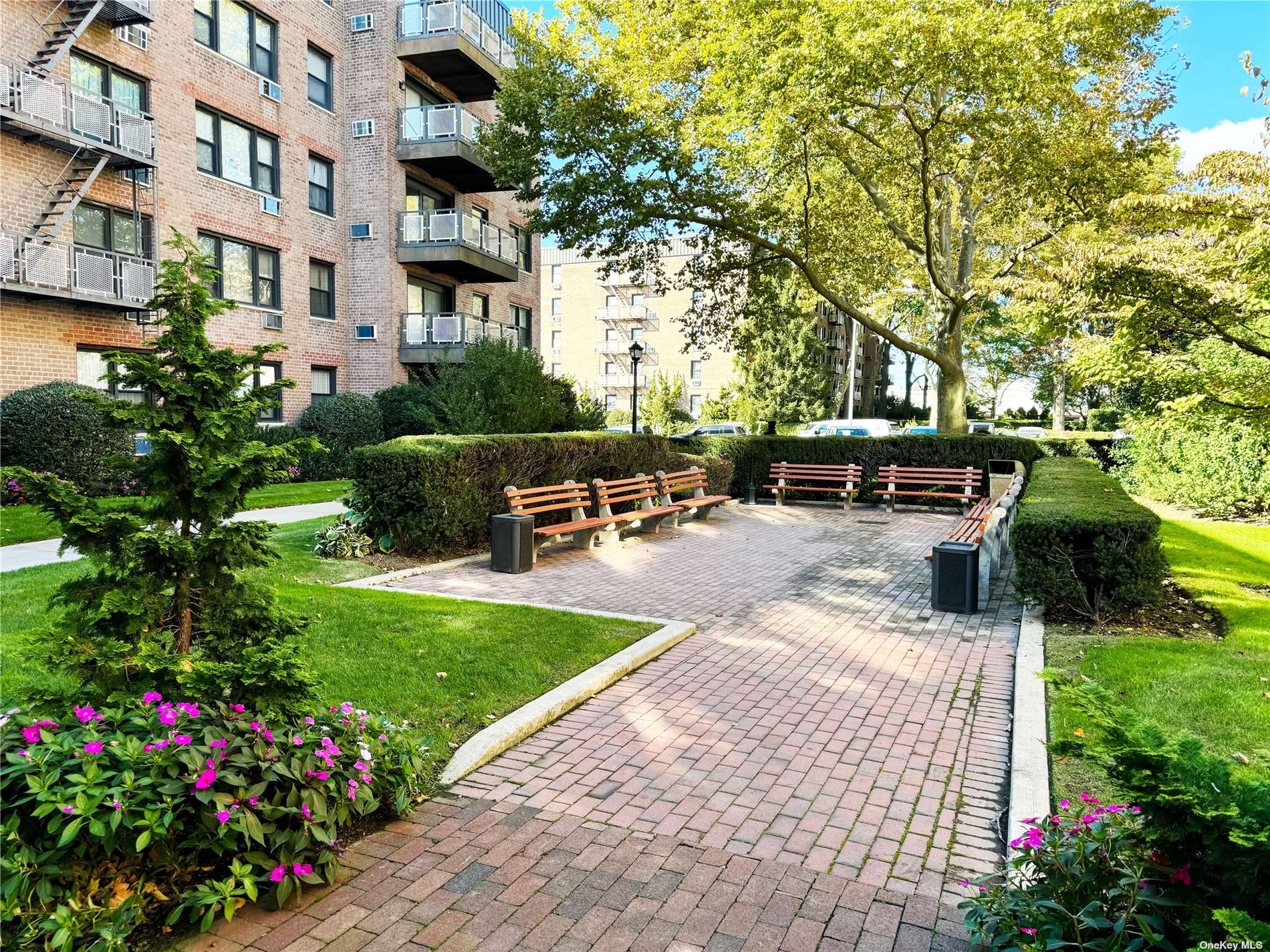 5 Birchwood Court #2D, Mineola, New York image 1