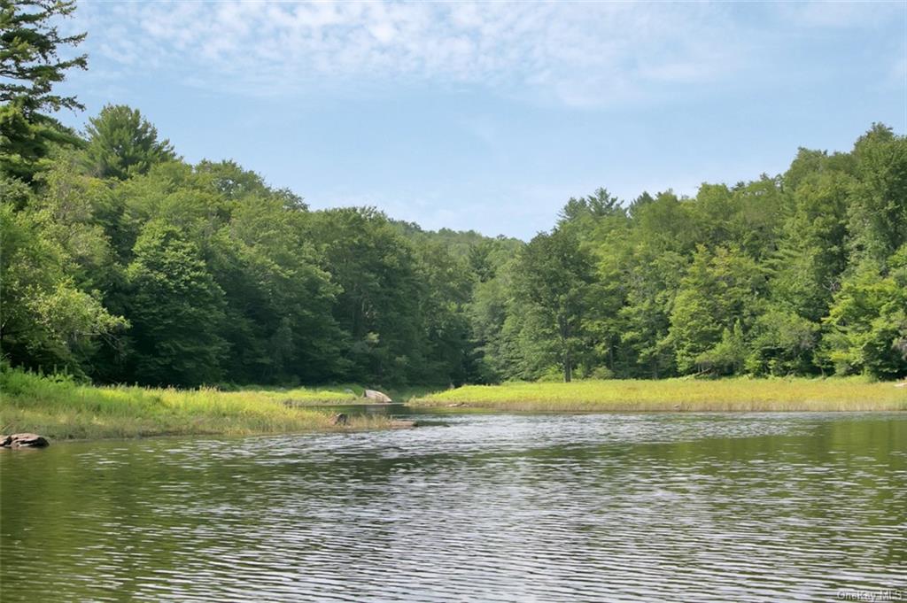 Whispering Woods Drive, Mongaup Valley, New York image 9