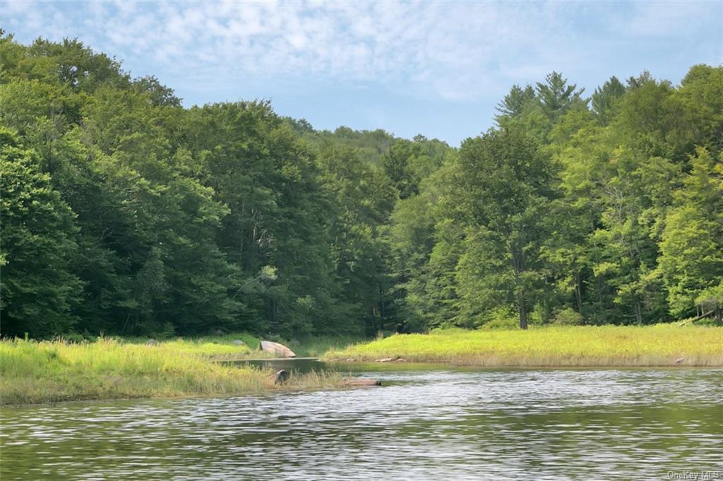 Whispering Woods Drive, Mongaup Valley, New York image 8