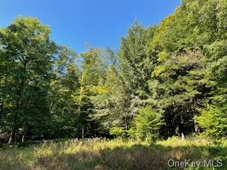 Browns Road, Livingston Manor, New York image 4