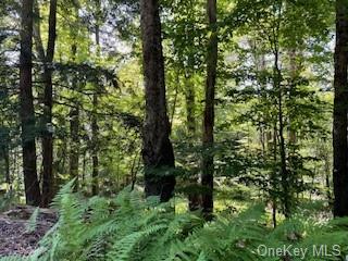 Browns Road, Livingston Manor, New York image 18