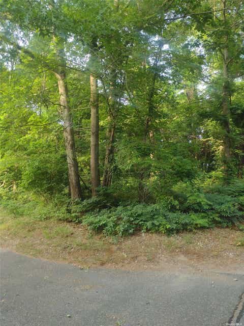 Vacant Land For Sale - Cedar Lane<br/> Medford, NY 11763