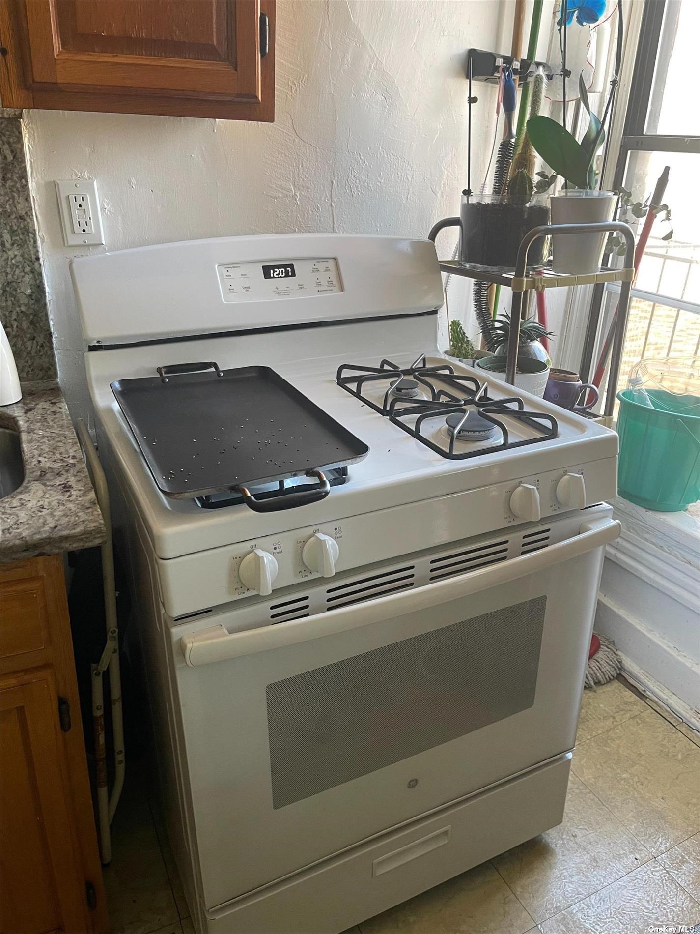 Brooklyn, New York 11238, United States, ,Commercial,Active,109207