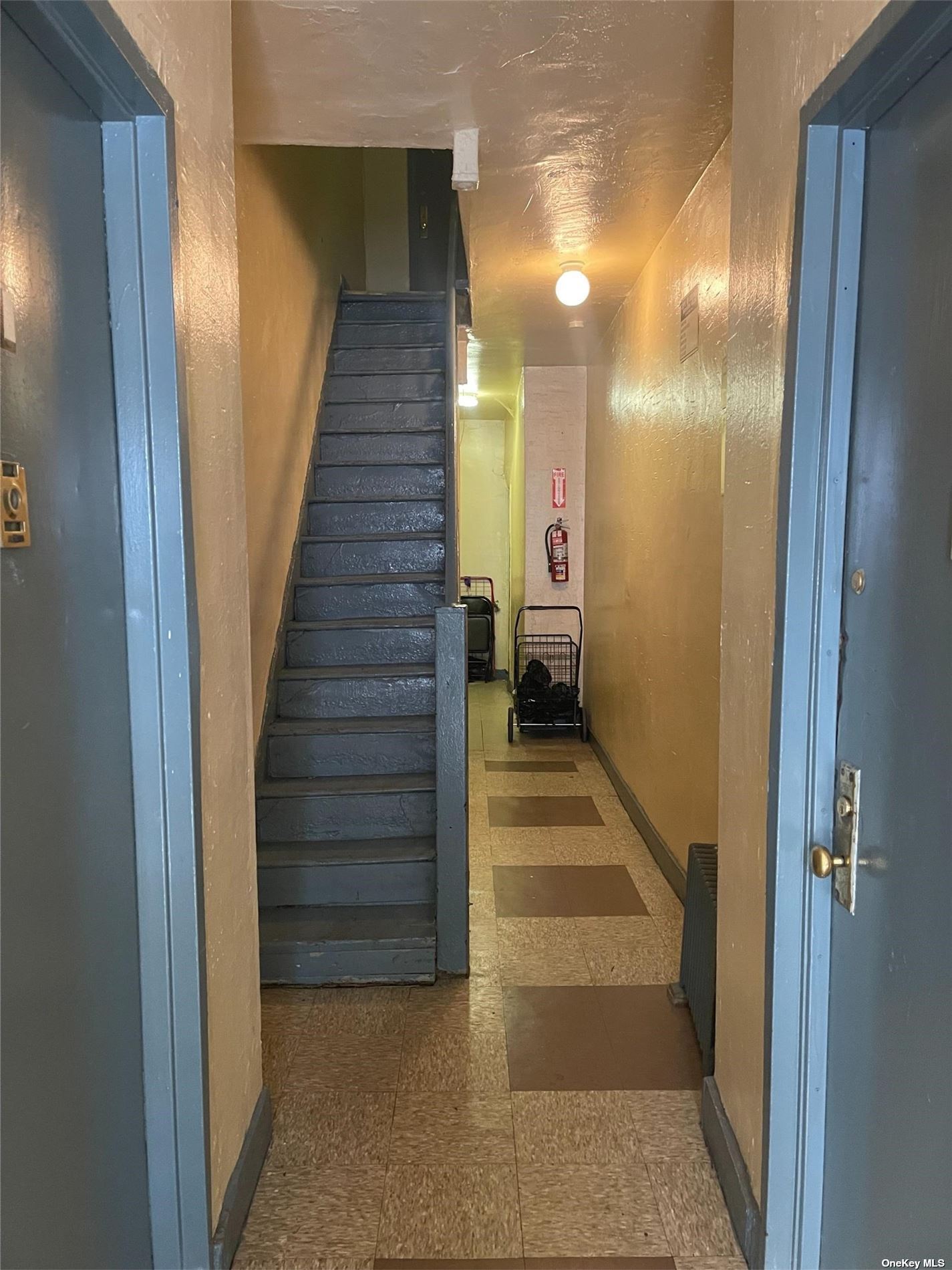 567 Saint Johns Place