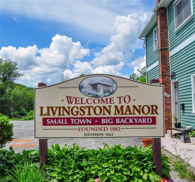 868 Old Route 17, Livingston Manor, New York image 31