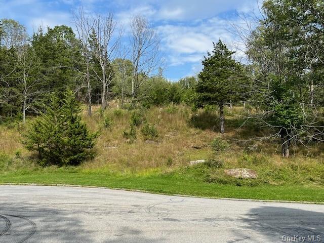 Lot 9 Woodin Place, Poughquag, New York image 9