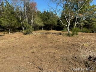 Lot 9 Woodin Place, Poughquag, New York image 2