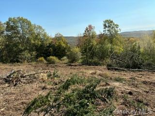 Lot 9 Woodin Place, Poughquag, New York image 1