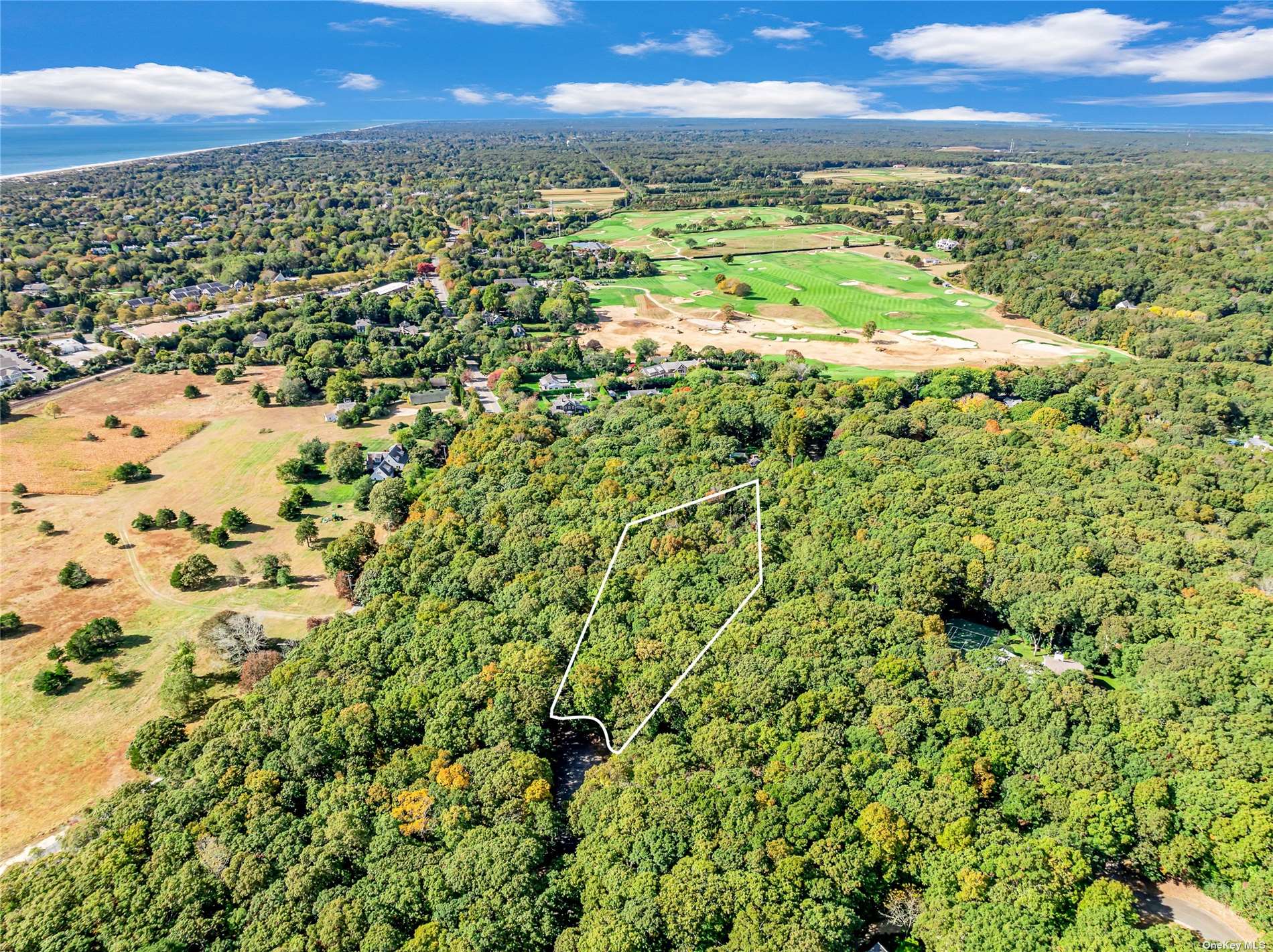 5 Pintail Lane, Amagansett, New York image 3