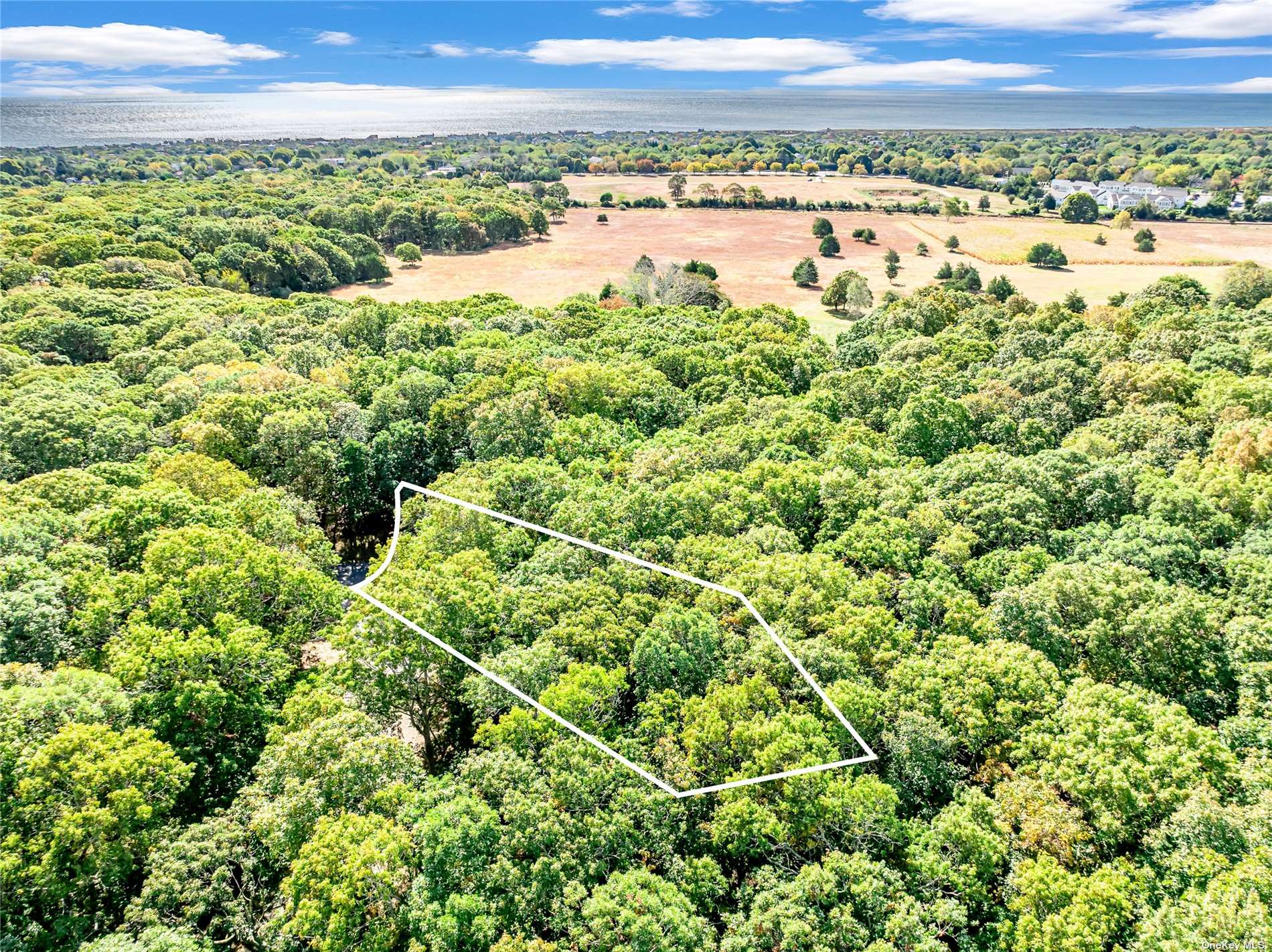 5 Pintail Lane, Amagansett, New York image 2