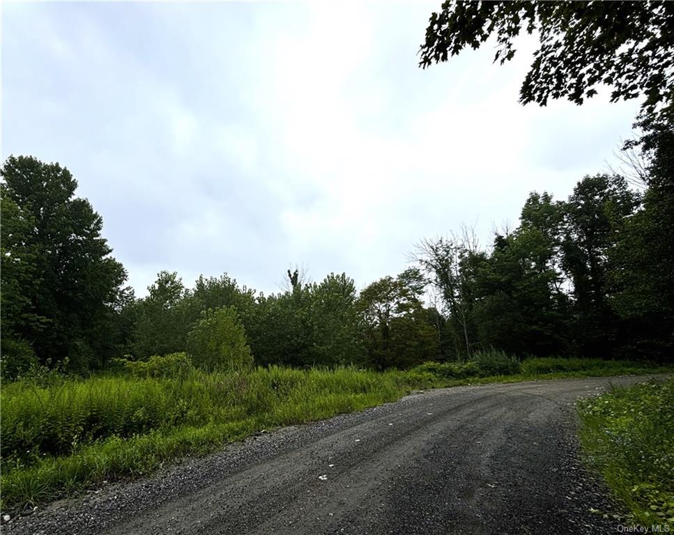 Lot #11 Cushman Road, Pawling, New York image 2