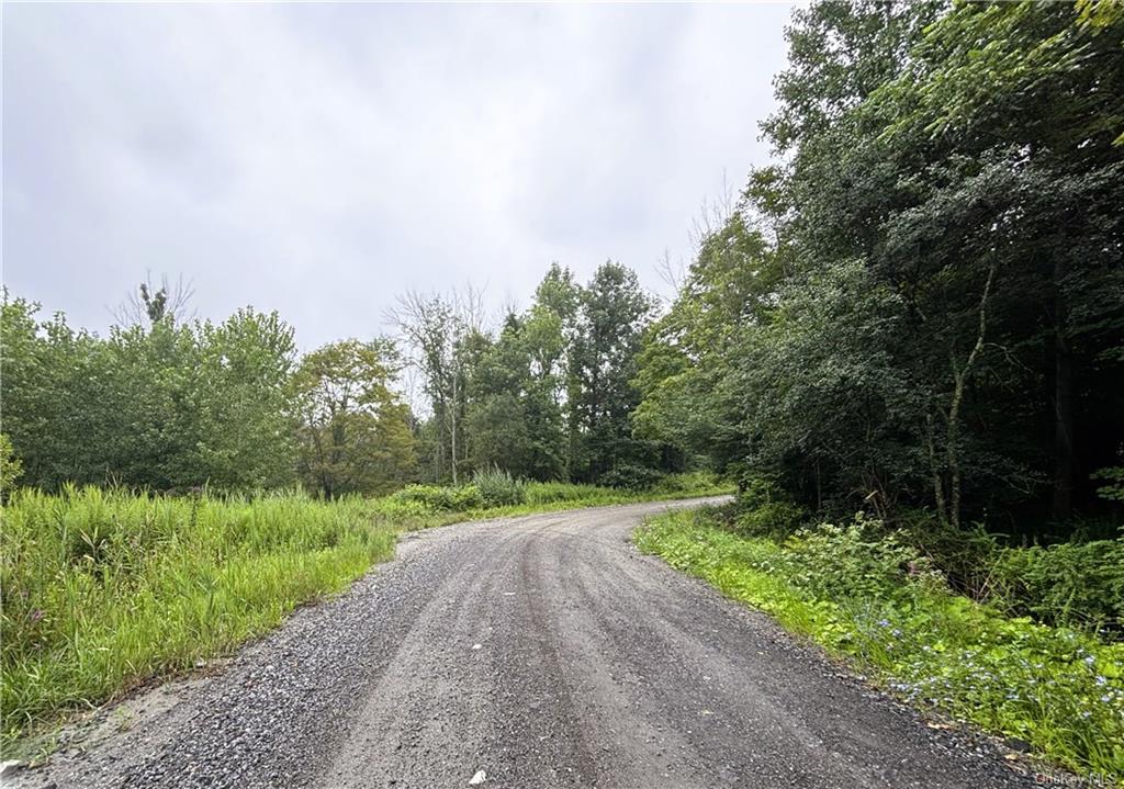 Lot #11 Cushman Road, Pawling, New York image 1