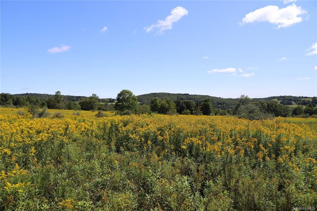 00 Kratz Road, Callicoon, New York image 8