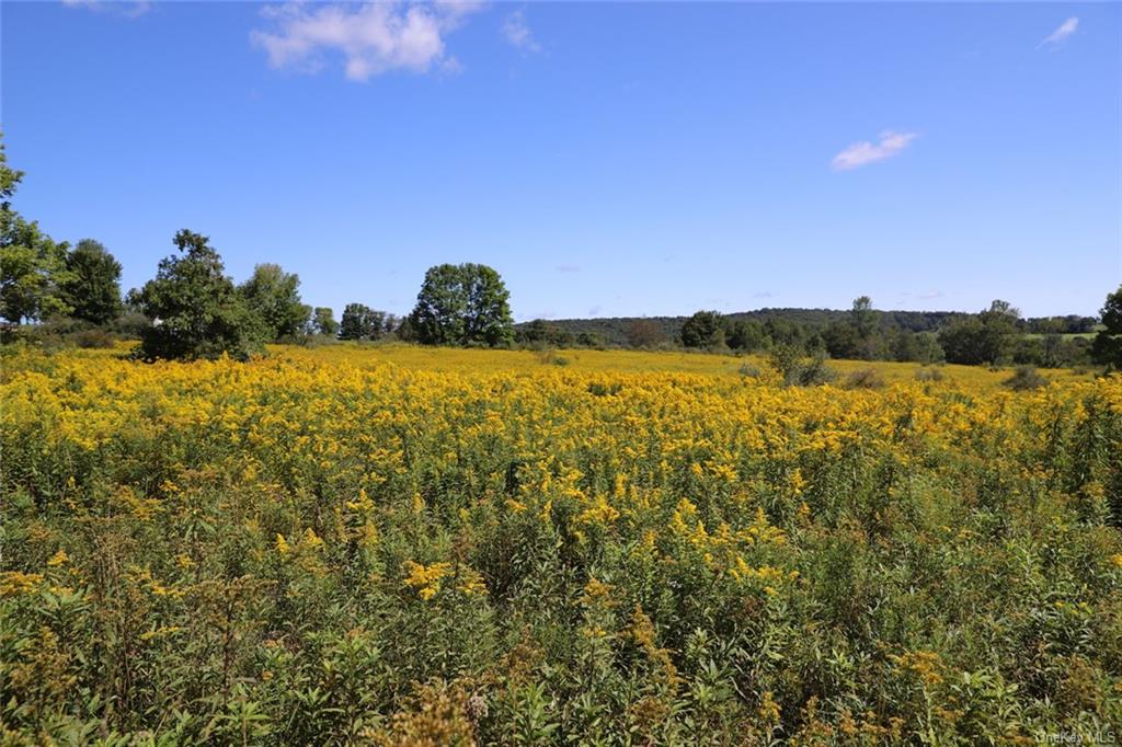 00 Kratz Road, Callicoon, New York image 9