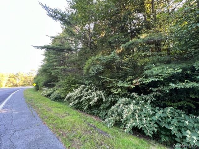 943 State Route 42, Sparrowbush, New York image 1