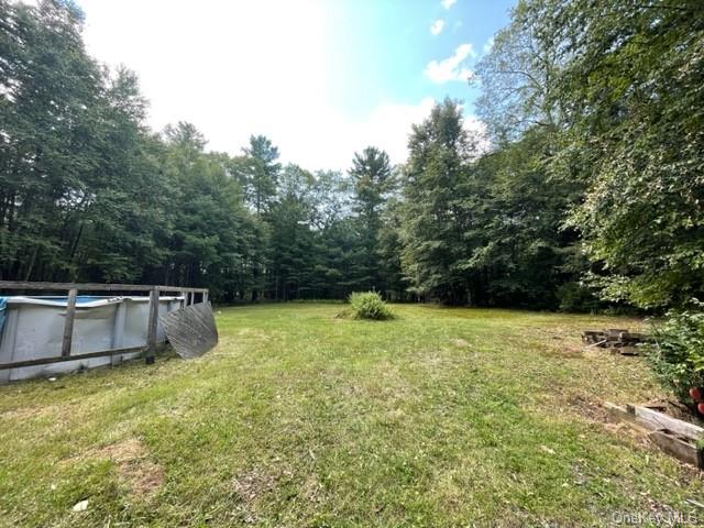 61 W Peenpack Trail, Sparrowbush, New York image 3