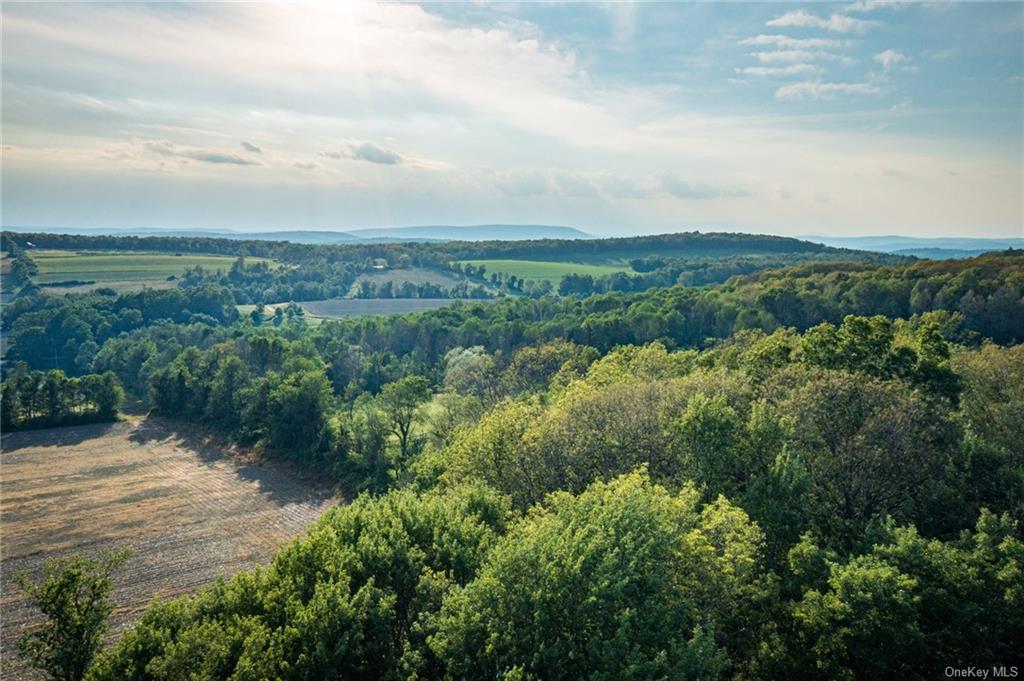 5 Homestead Farm Lane, Millerton, New York image 9