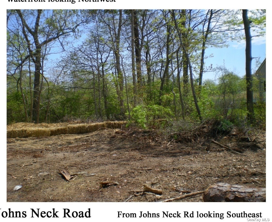 95 Johns Neck Road, Shirley, New York image 3