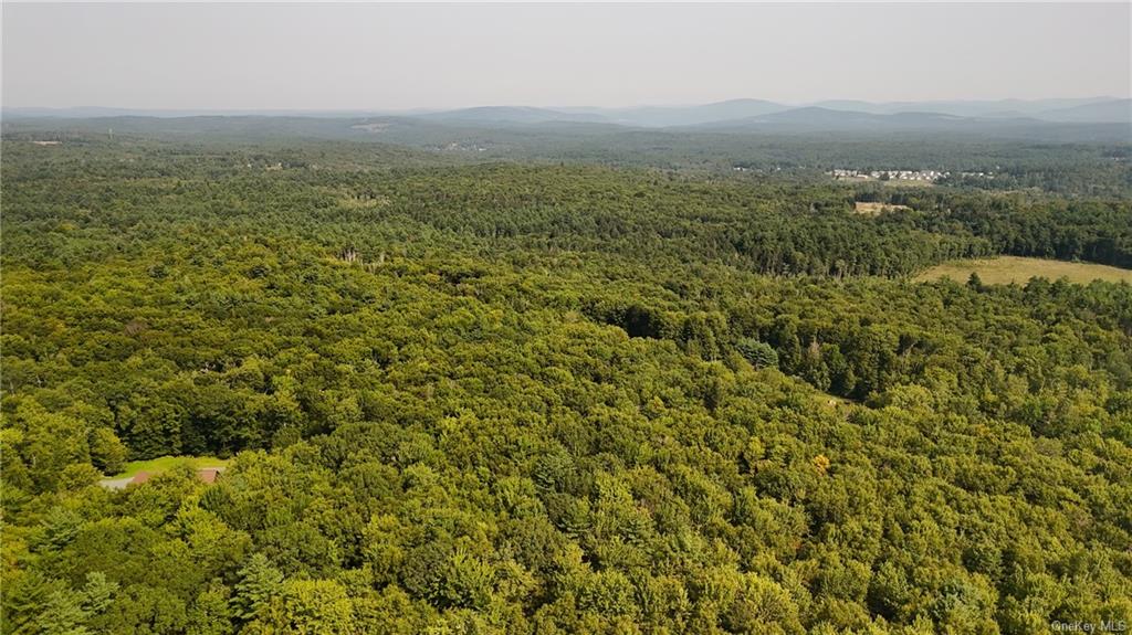 Cranberry Road, Greenfield Park, New York image 8