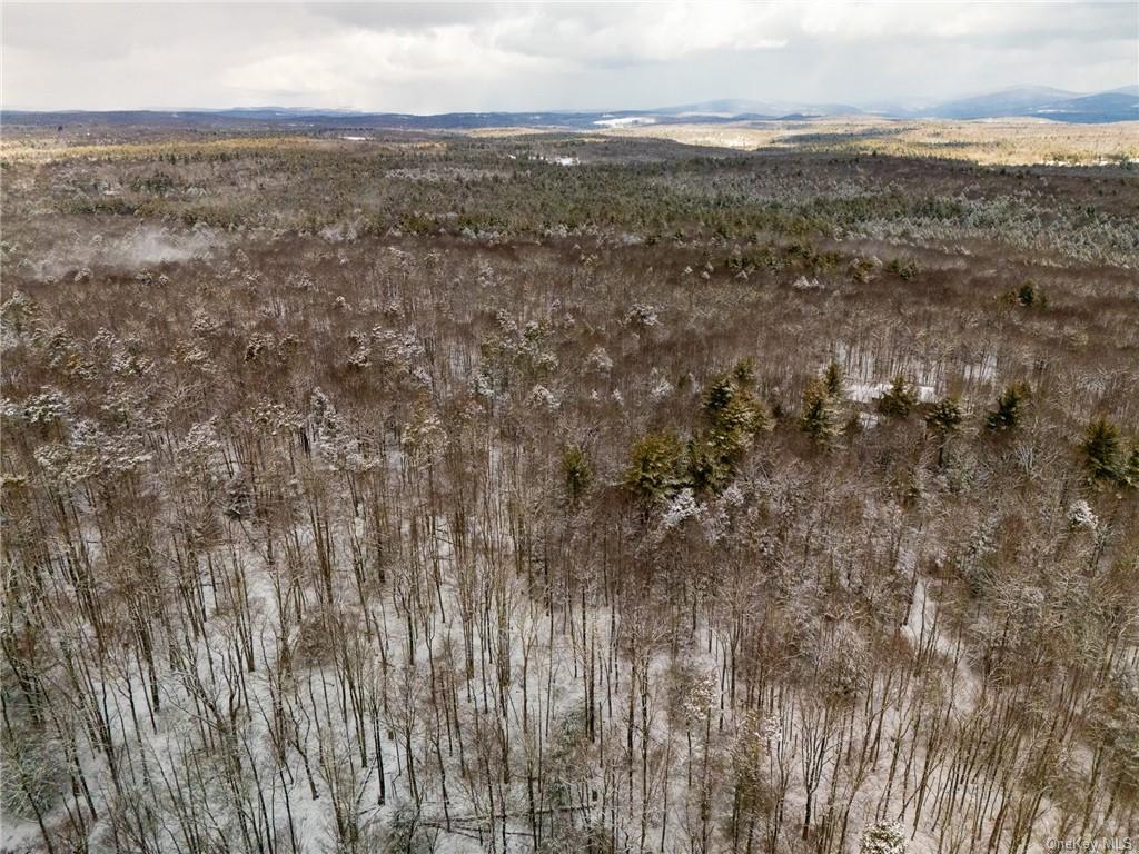 Cranberry Road, Greenfield Park, New York image 18