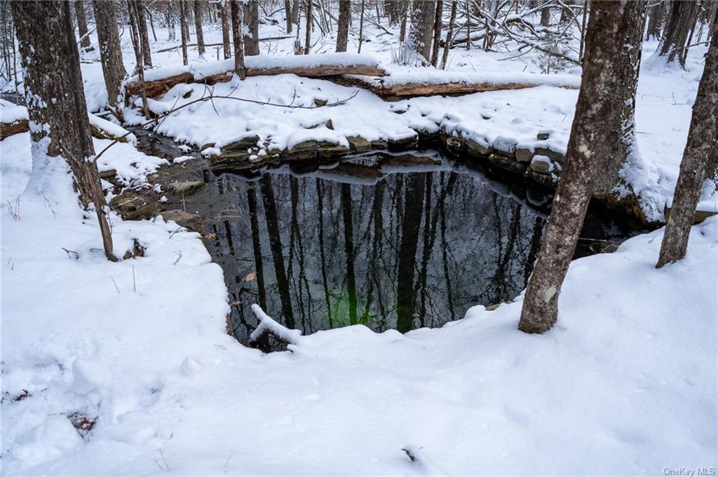 Cranberry Road, Greenfield Park, New York image 36