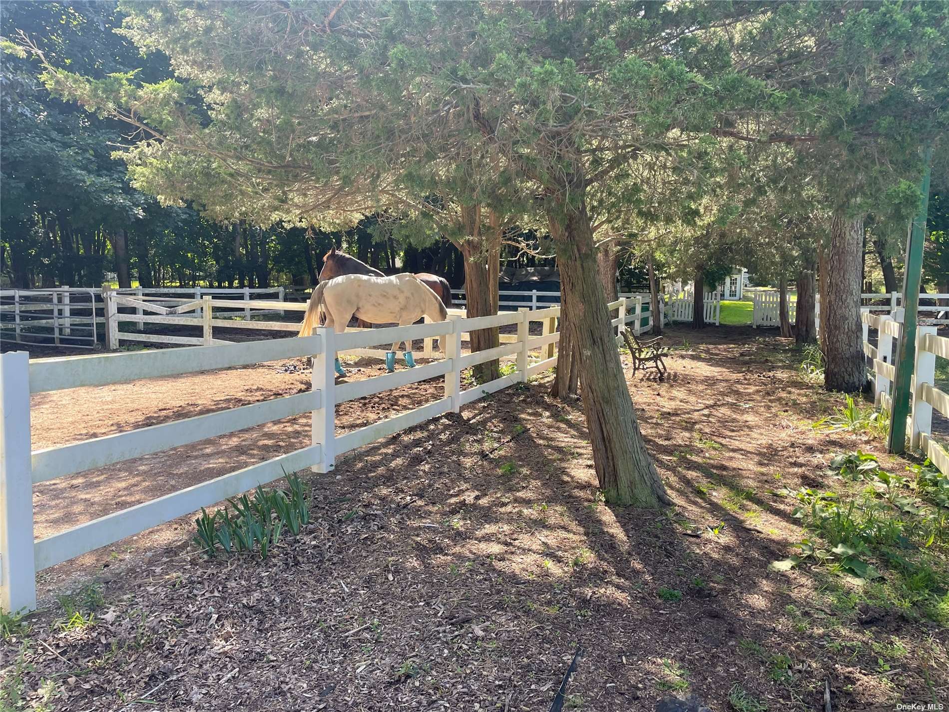 190 S Country Road, Remsenburg, New York image 17