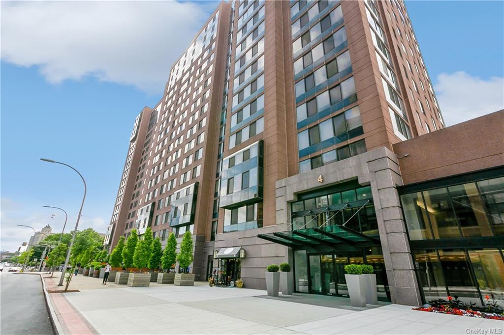 View White Plains, NY 10606 condo