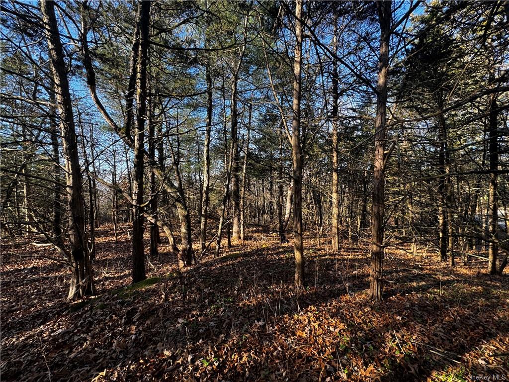 Lot 30 Mountain View Drive, Elizaville, New York image 1