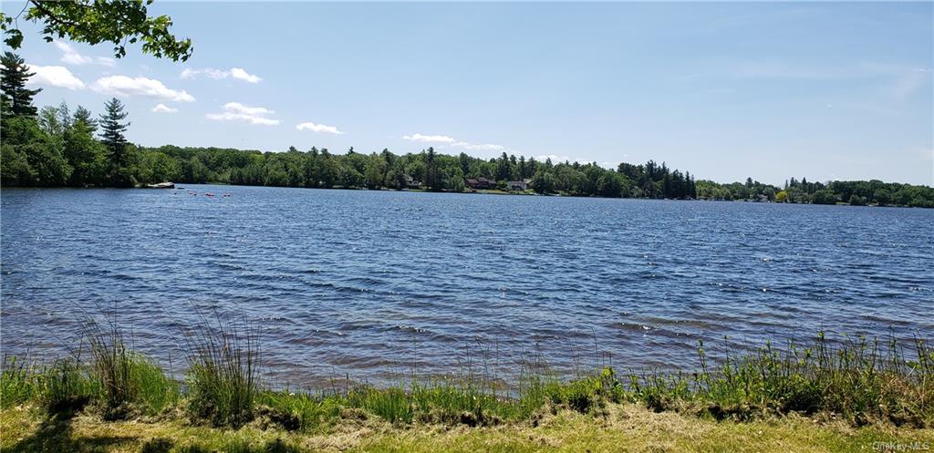 Lot 11 Sarine Road, Wurtsboro, New York image 1