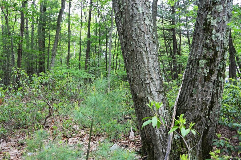 Lot 11 Sarine Road, Wurtsboro, New York image 4