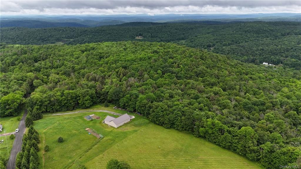 2191 Hungry Hill Road, Long Eddy, New York image 9