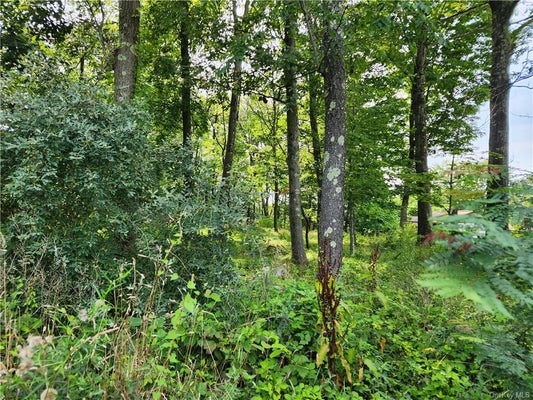 KENTVIEW DRIVE, CARMEL, NY 10512 - Image 7eb5630c8a7ff888cf8b9c70d671f41d/4073400882