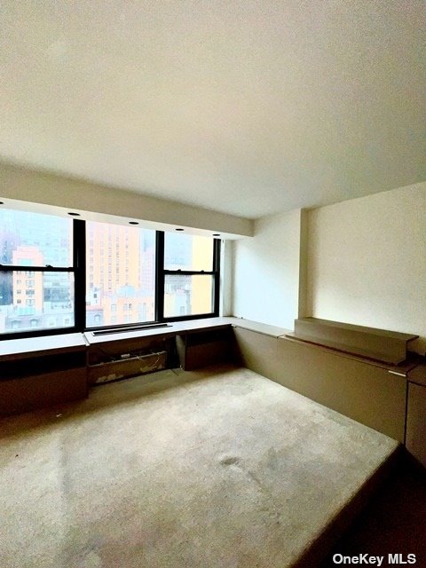 420 E 51st Street St #9E, New York, New York image 10