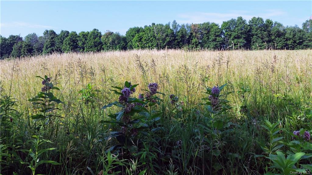 TBD Old Chester & Duck Farm Road, Goshen, New York image 33