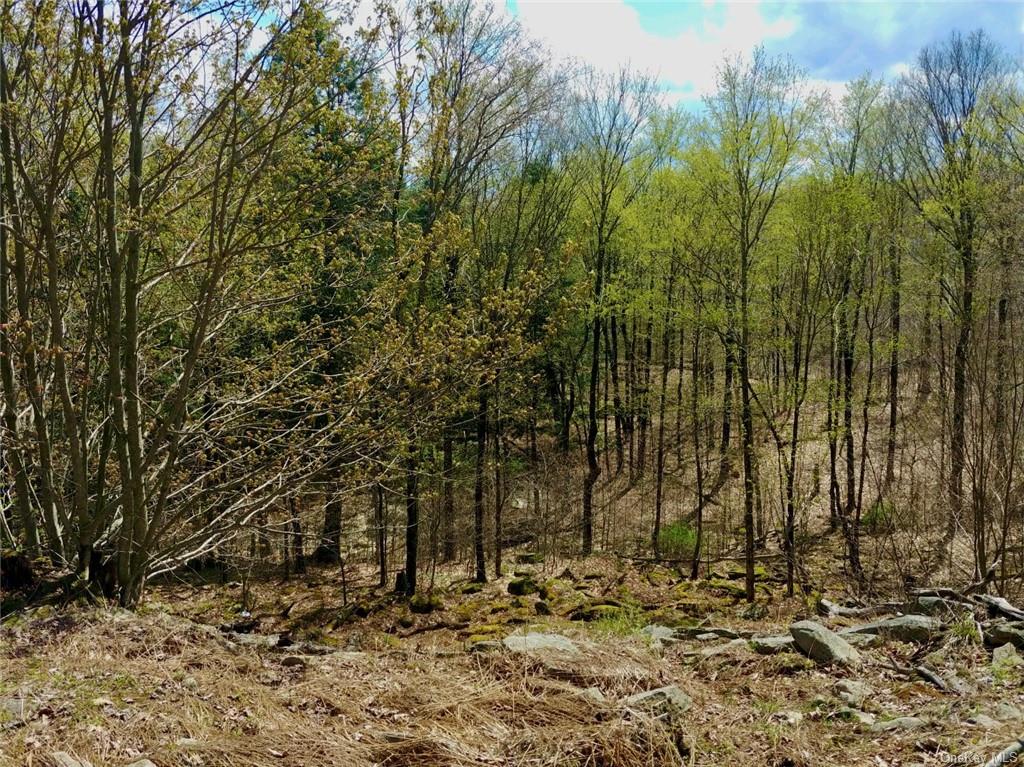 Shandelee Road, Livingston Manor, New York image 8