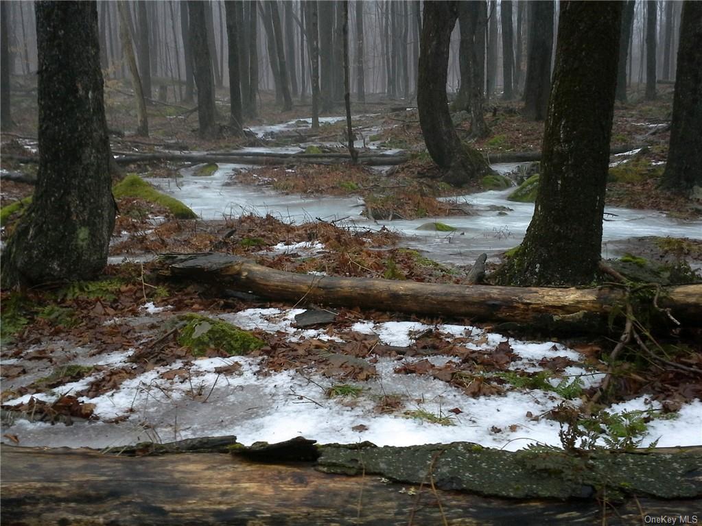 Shandelee Road, Livingston Manor, New York image 3