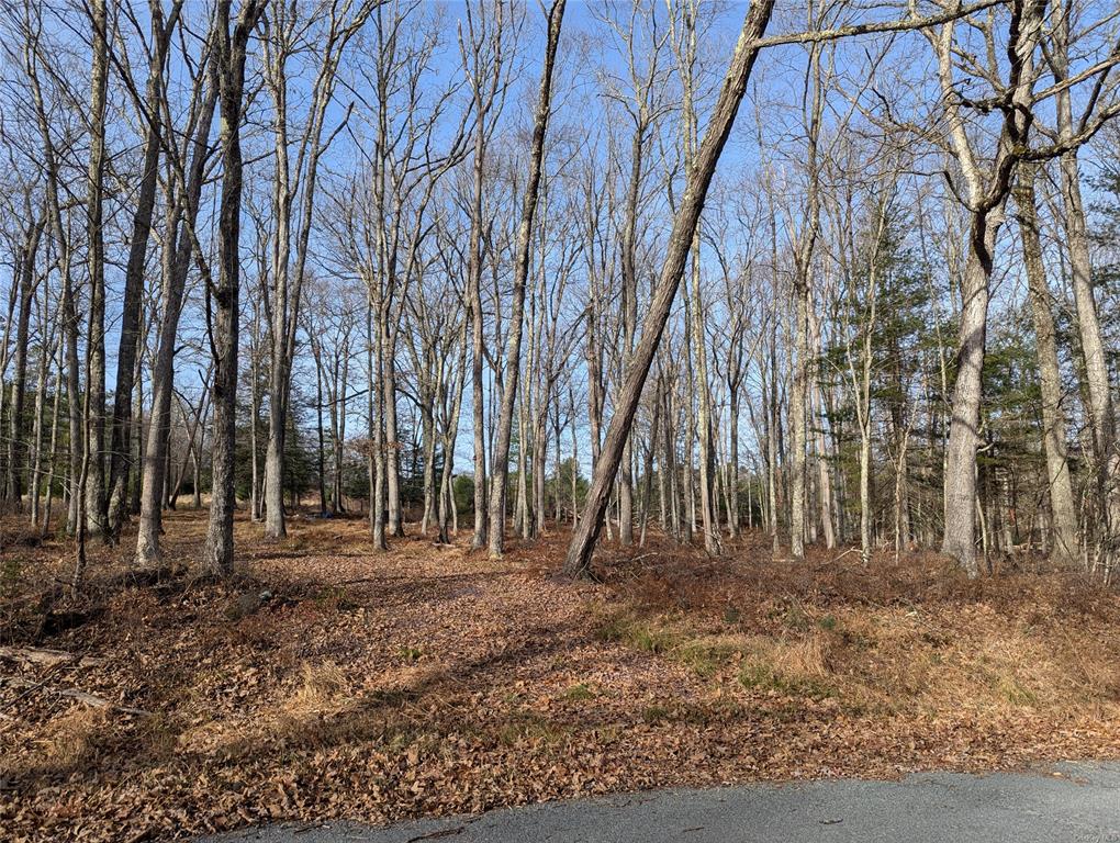 Lot 11 Mahls Pond Rd, Narrowsburg, New York image 6