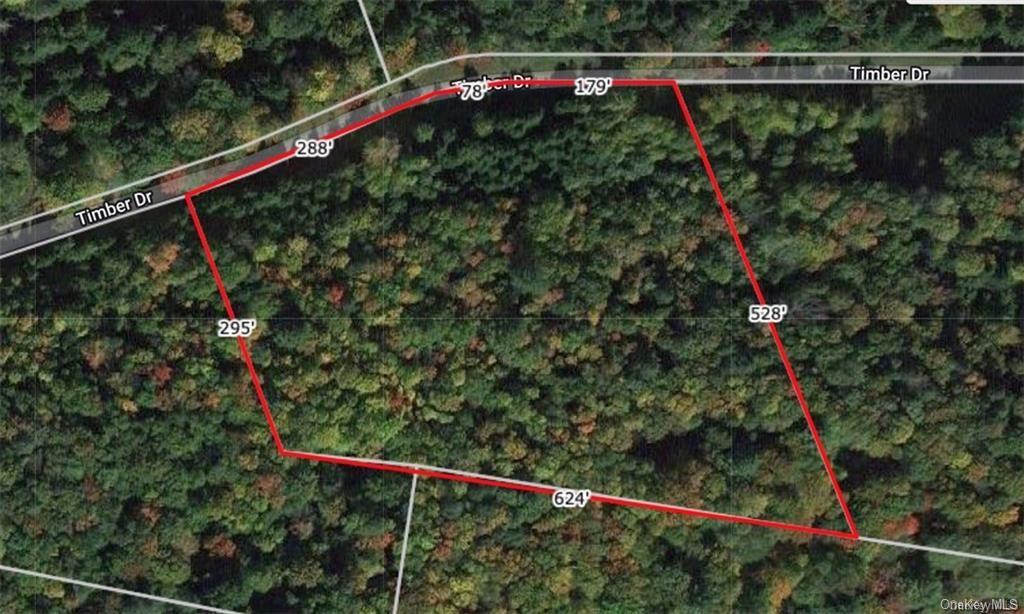 Lot 5 Timber Drive, Bethel, New York image 13