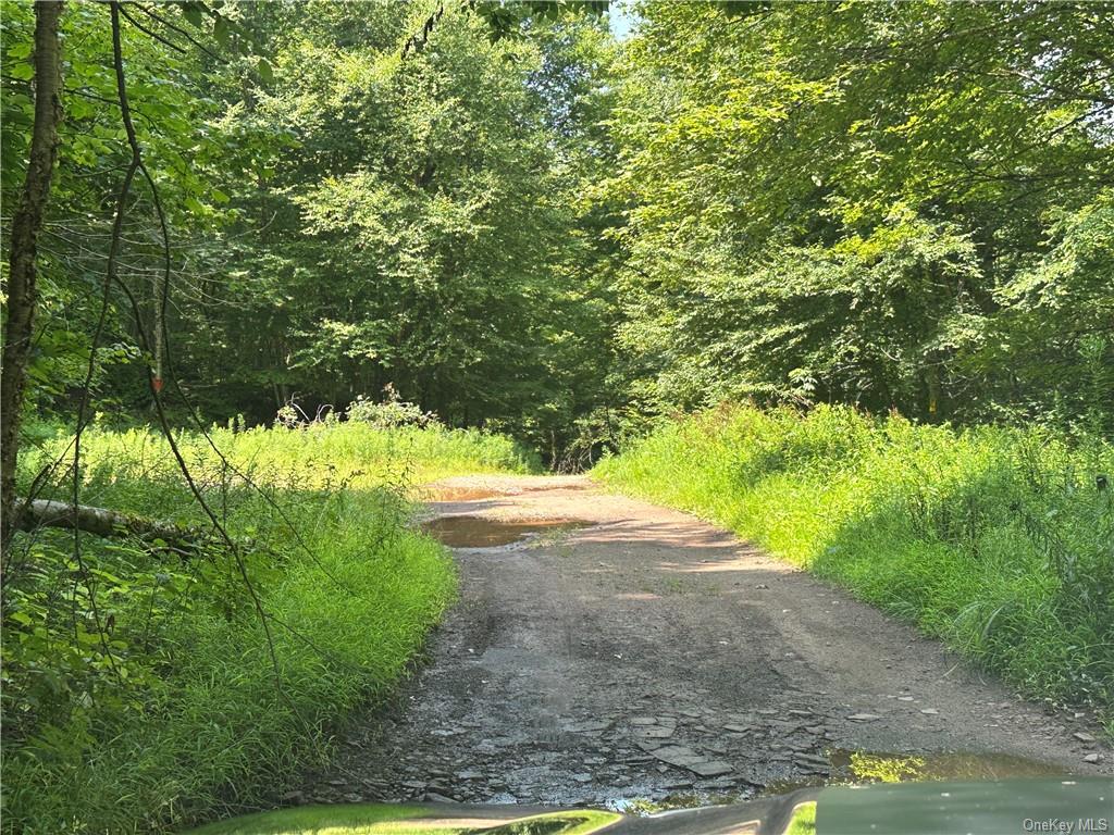 4238 Baxter Mountain Road, Roscoe, New York image 9