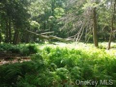 Houghtaling Road, Hurleyville, New York image 1